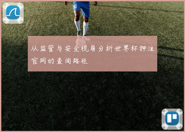 从监管与安全视角分析世界杯押注官网的查询路径
