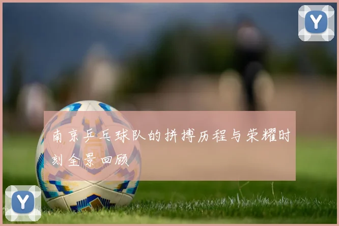 南京乒乓球队的拼搏历程与荣耀时刻全景回顾