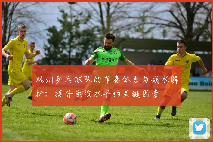 杭州乒乓球队的节奏体系与战术解析：提升竞技水平的关键因素